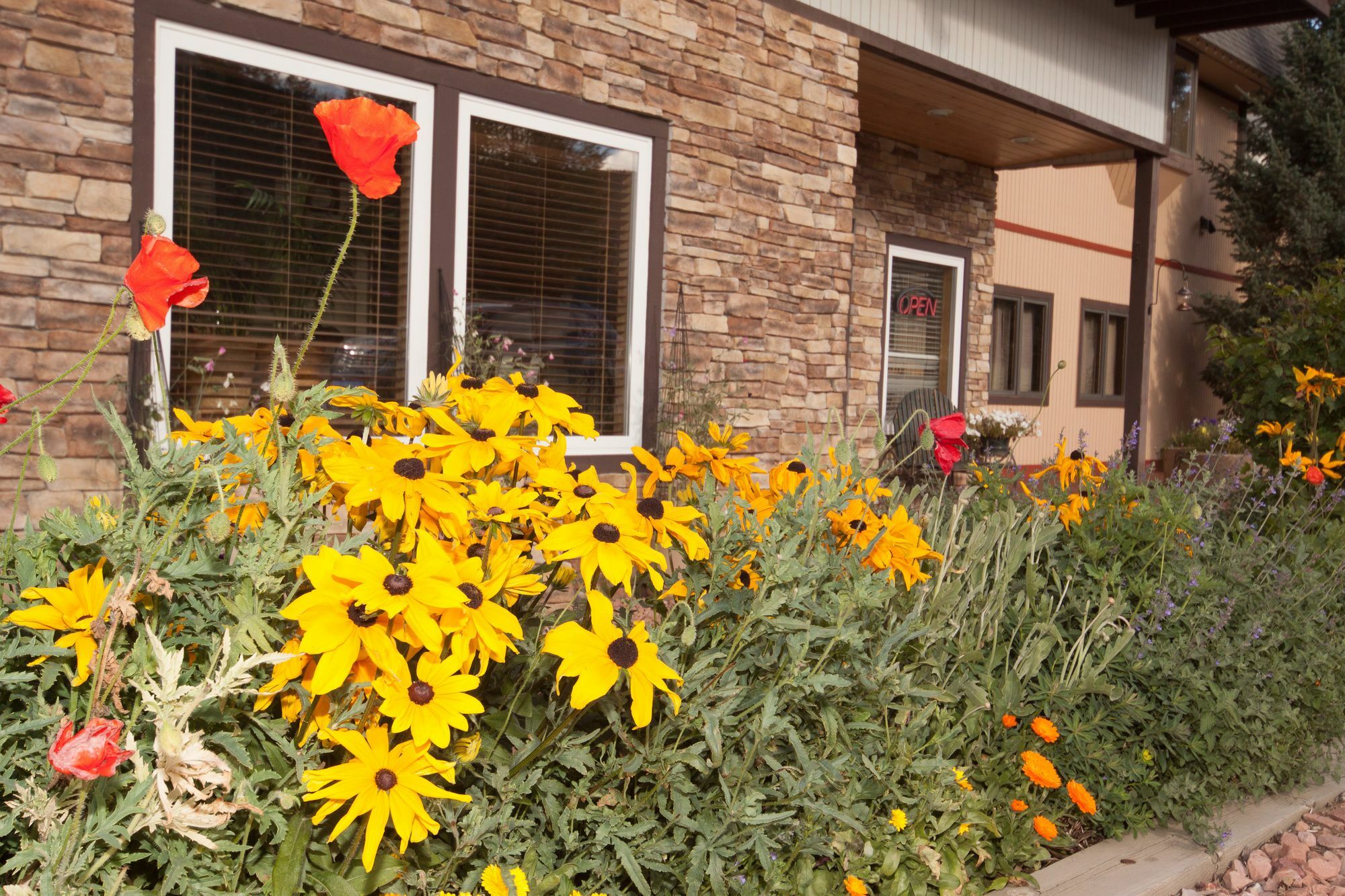 Valley Hi Hotel Fraser Faciliteter billede